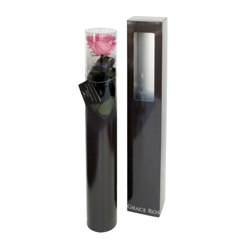 グレースローズ ステム付 ベイビーピンクの画像