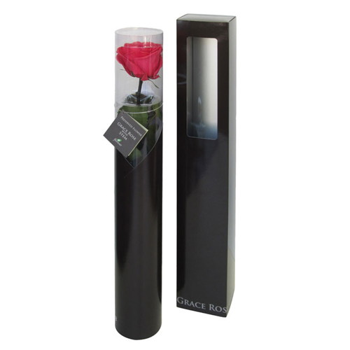 グレースローズ ステム付 ホットピンクの画像