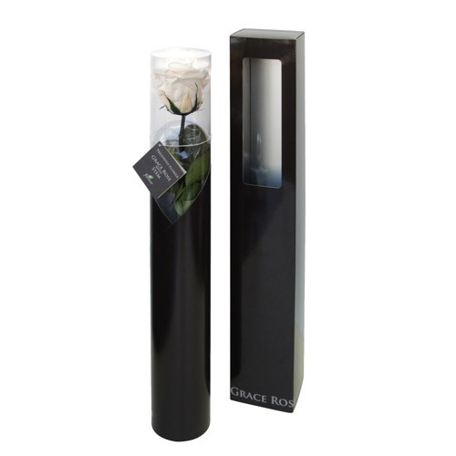 グレースローズ ステム付 パールホワイトの画像