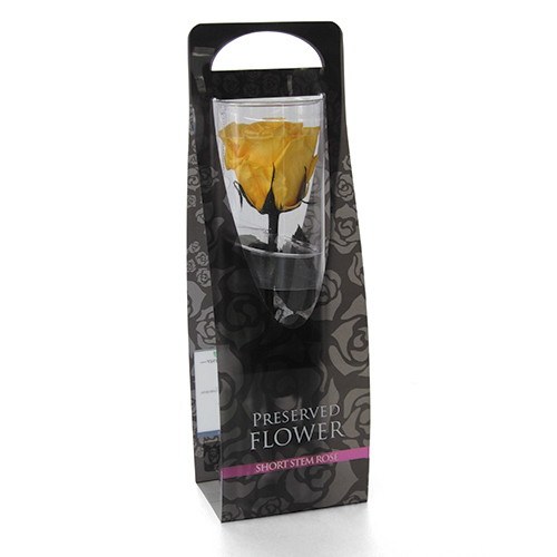 ショートステムローズ ゴールデンイエローの画像