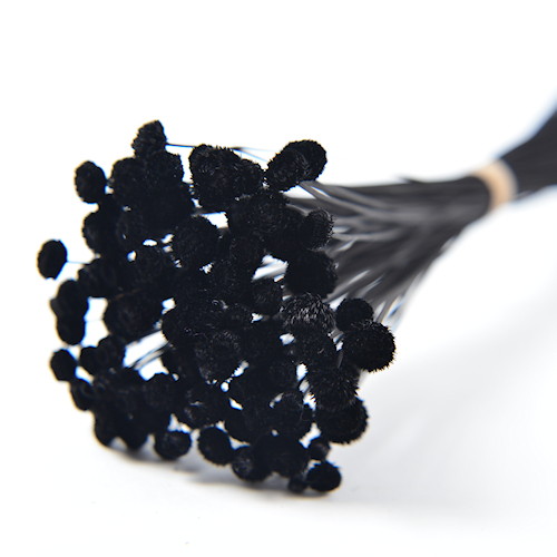 アマレリーノ ドライ ブラックの画像