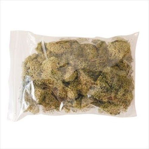 ノルディックモス 50g ナチュラルの画像