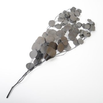 ユーカリ ポプルス グレイの画像