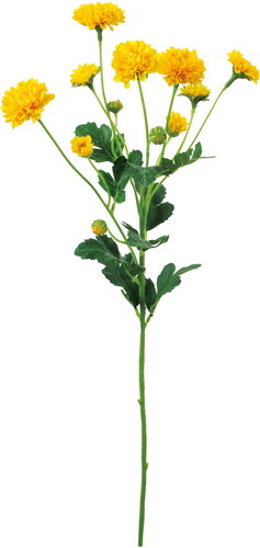 スプレーマム【ニューイエロー】の画像