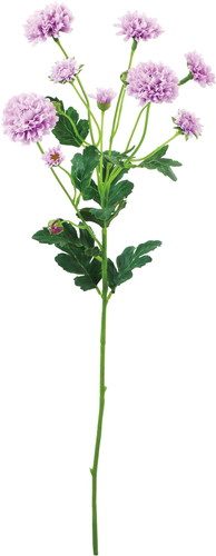 スプレーマム【ライトラベンダー】の画像