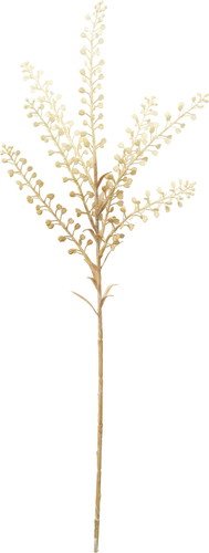 カプセラ【クリーム】の画像