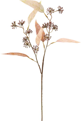 カンサーツリースプレー【ブラウン】の画像