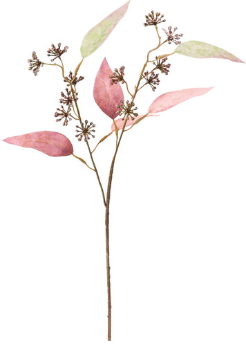 カンサーツリースプレー【レッドグリーン】の画像