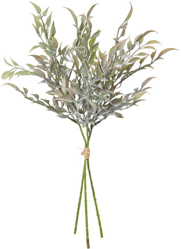 イタリアンルスカスバンチ【ホワイトグリーン】の画像