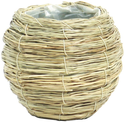 シーグラステマリSの画像