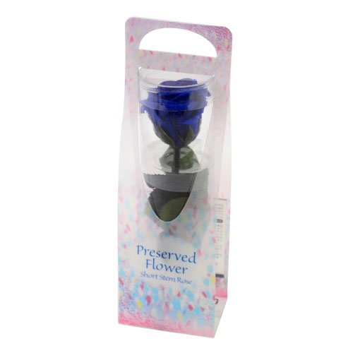 ショートステムローズ ビードロ グランブルーの画像