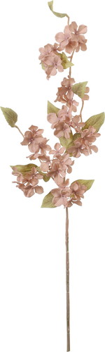 カスケードハイドレンジアバイン【ブラウン】の画像