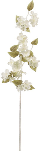 カスケードハイドレンジアバイン【クリーム】の画像