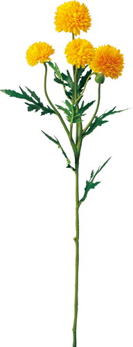 ピンポンマムスプレー【イエロー】の画像