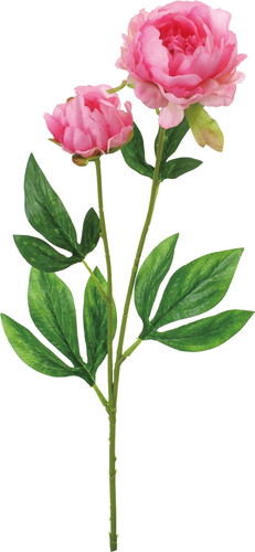 ピオニー×2【ピンク】の画像