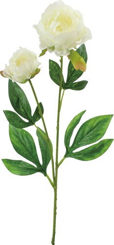 ピオニー×2【ホワイト】の画像