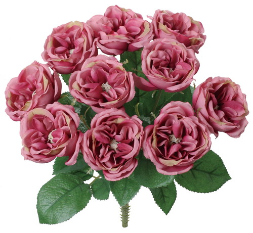 ガーデンローズブッシュ【ダークモーブ】の画像