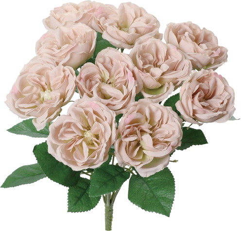 ガーデンローズブッシュ【ライトラベンダー】の画像