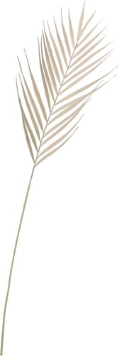 ドライドパームスプレー【グレー】の画像