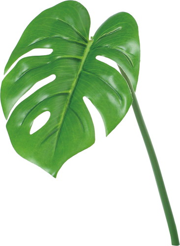 UVリサイクルモンステラリーフS【グリーン】の画像