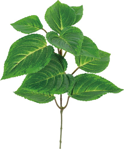 UVリサイクルコリウスショート【グリーン】の画像