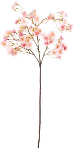 たおやめ桜【ピンク】の画像