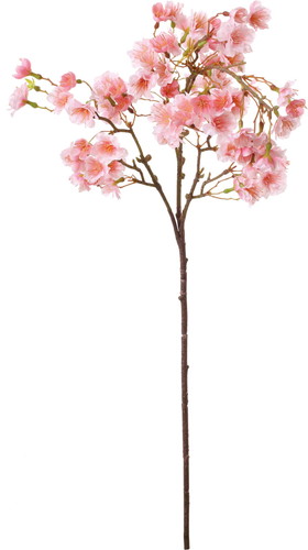 たおやめ桜【ホワイトピンク】の画像