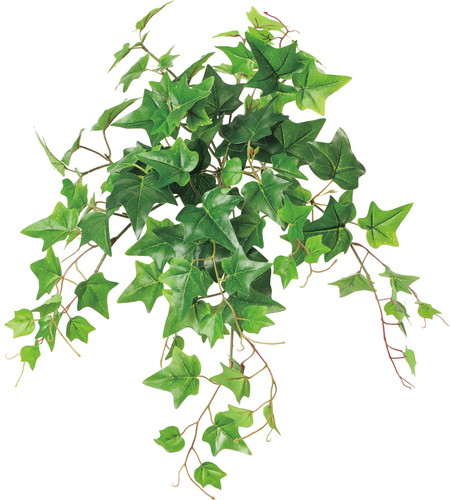 UVアイビーブッシュ【グリーン】の画像