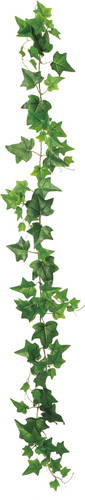 UVアイビーガーランド【グリーン】の画像