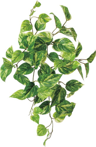 UVポトスブッシュ【グリーン】の画像