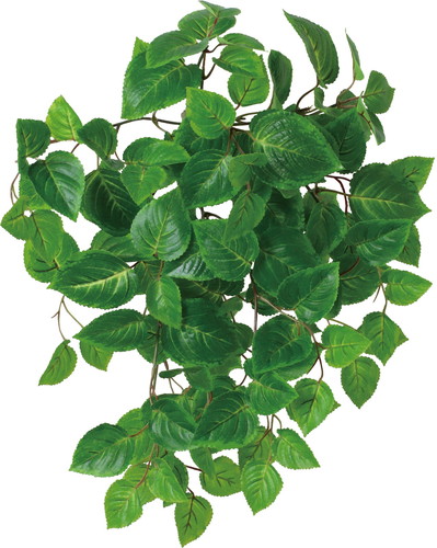 UVリサイクルコリウスブッシュ【グリーン】の画像