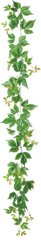 UVリサイクルポトスアイビーガーランド【グリーン】の画像