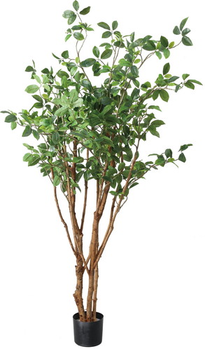 160cmガジュマルツリー【グリーン】の画像