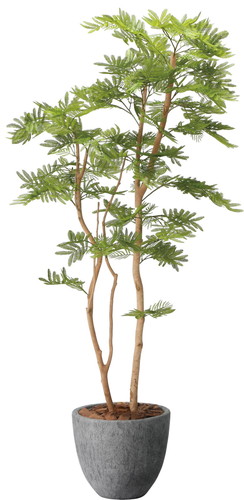 ねむの木1.6(ポリ製)の画像