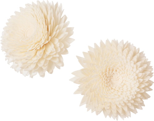 ソラパーツジニアL ムク2Pの画像