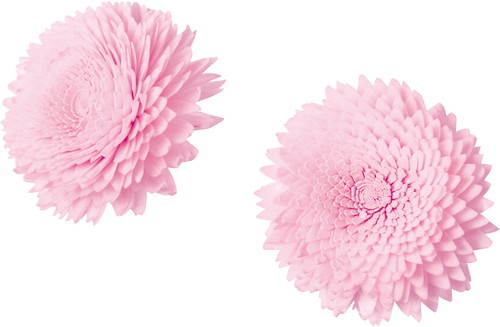 ソラパーツジニアL モモ2Pの画像