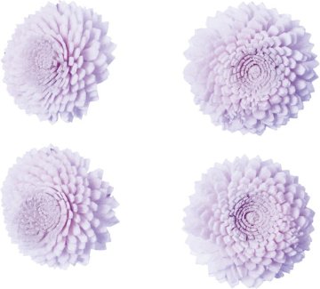 ソラパーツジニアS 紫4P画像