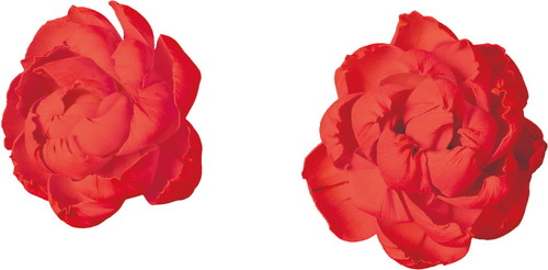 ソラパーツボタン アカ2Pの画像