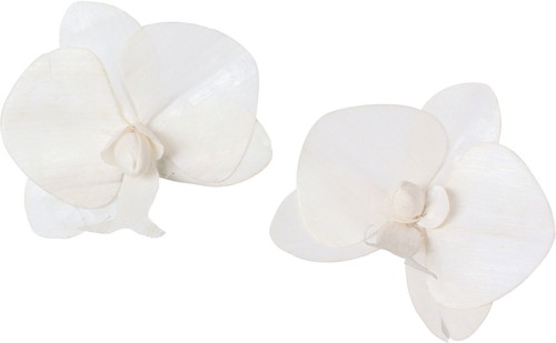 ソラパーツコチョウラン ムク2Pの画像