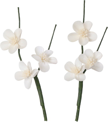 ソラパーツウメ ムク2Pの画像