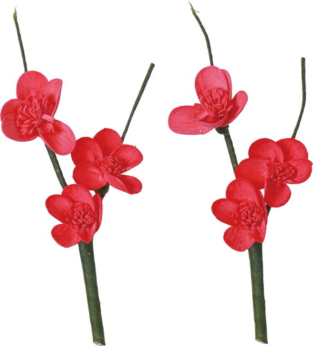 ソラパーツウメ アカ2Pの画像