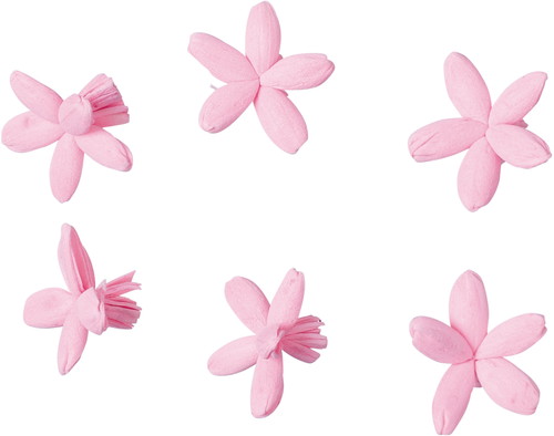 ソラパーツコバナ モモ6Pの画像