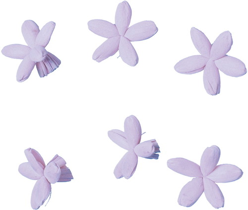 ソラパーツコバナ ムラサキ6Pの画像