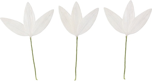 ソラパーツササノハS ムク3Pの画像