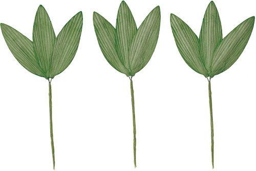 ソラパーツササノハS ミドリ3Pの画像