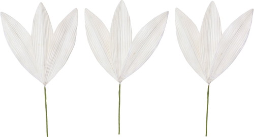 ソラパーツササノハM ムク3Pの画像