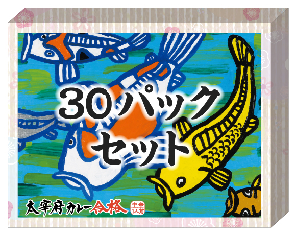 太宰府カレー合格（30パックセット）の画像