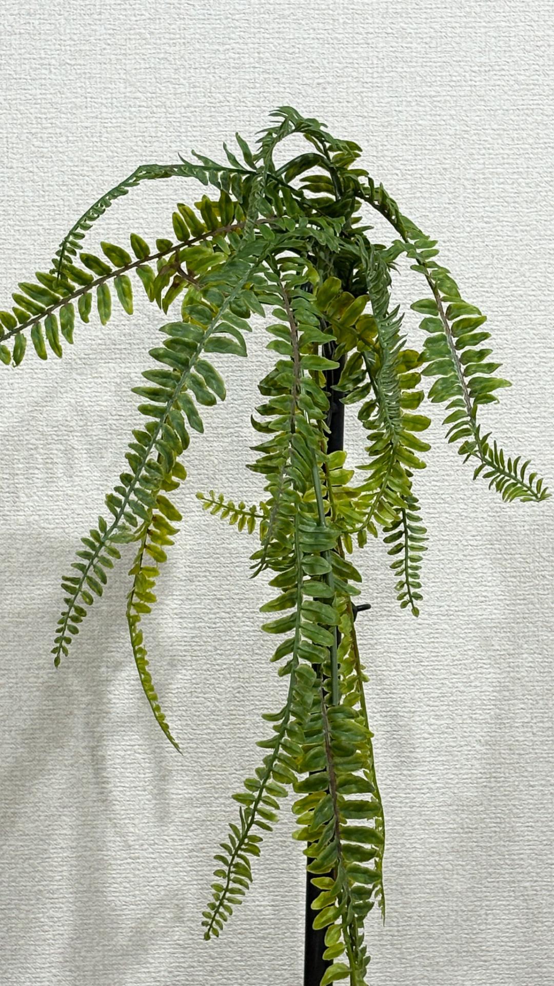 【カスタムオーダー】wall green 造花２５X２５の画像