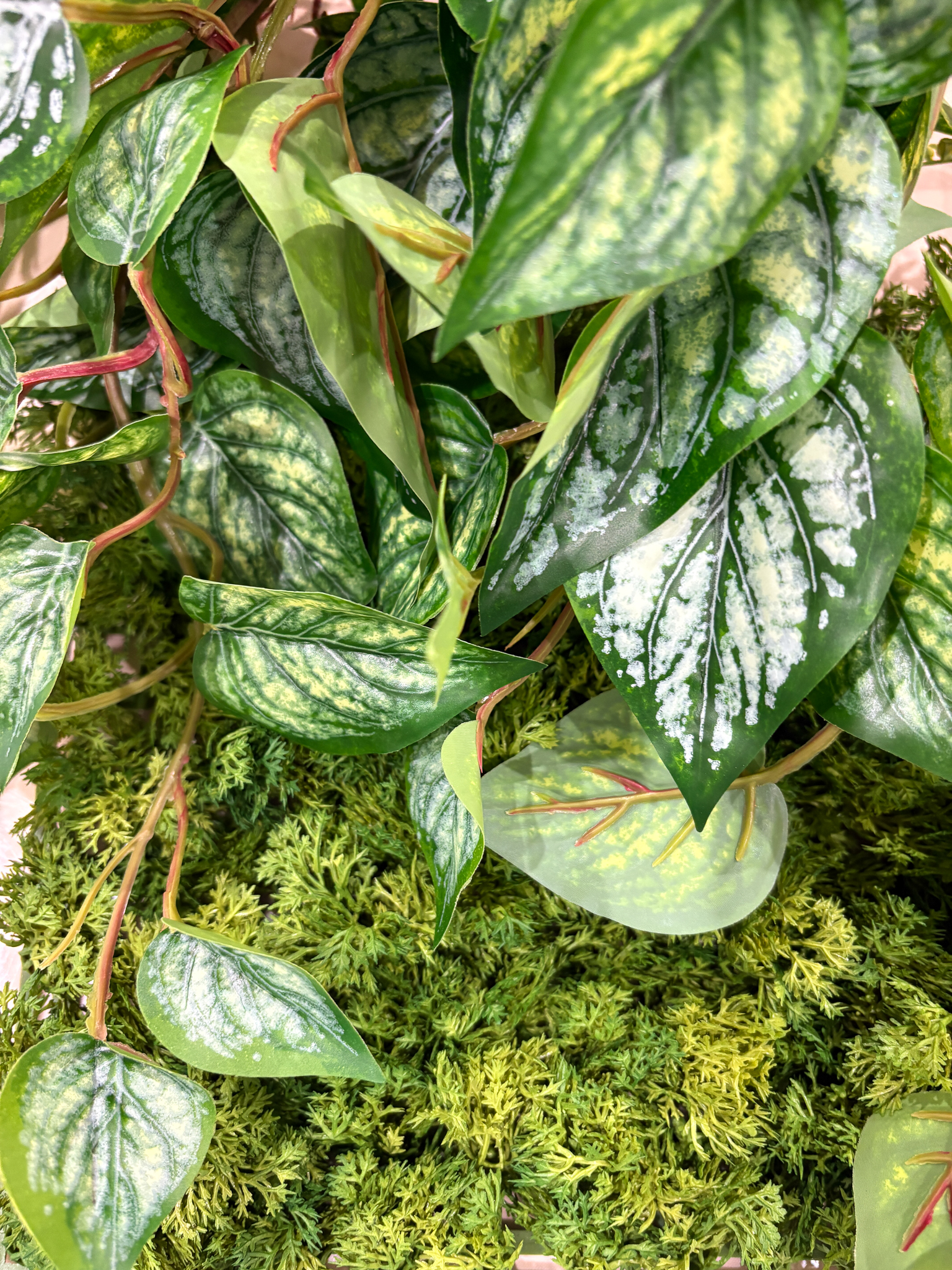 【カスタムオーダー】wall green 造花２５X２５の画像