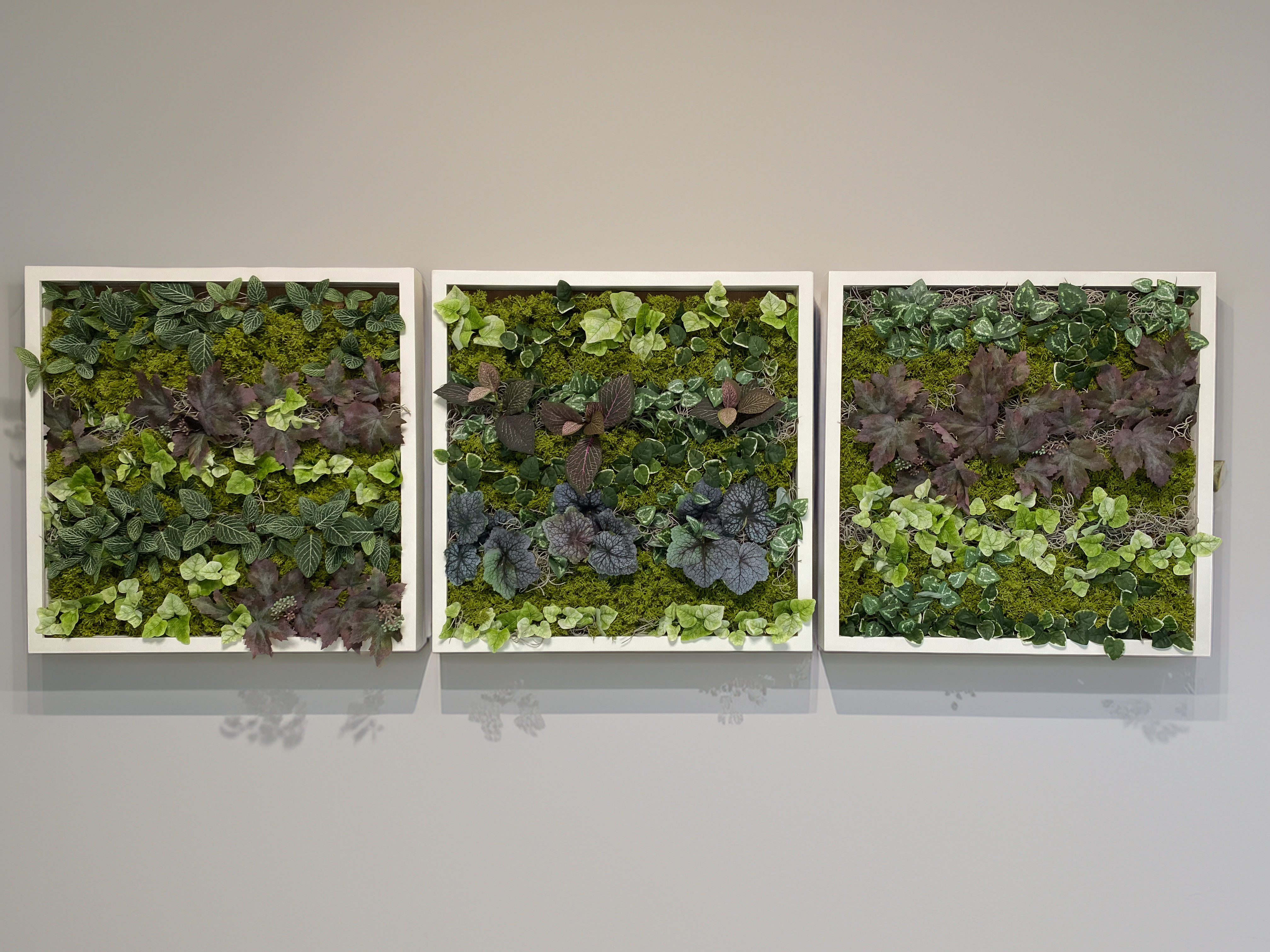 【カスタムオーダー】wall green 造花２５X２５の画像